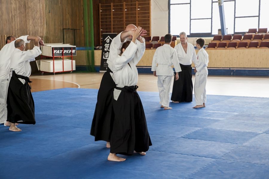 Seminář Aikido - Stefan Stenudd